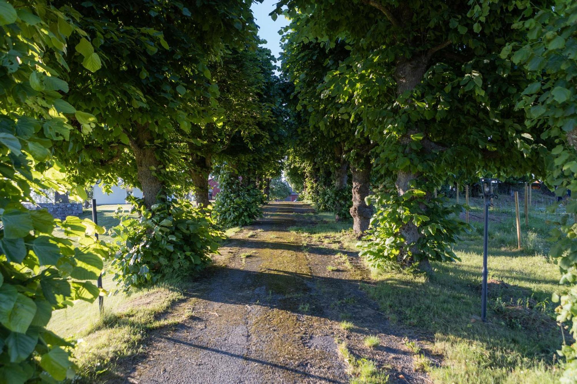 Dal Gjestegaard Skoppum Exterior photo